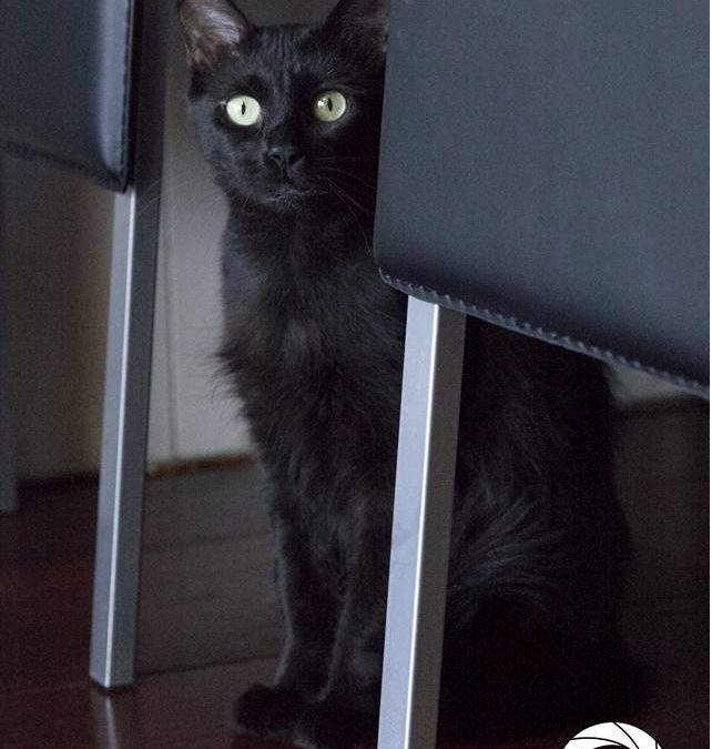 Nombre: Lilith
